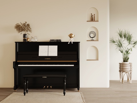 Musical Instrument Modern Piano