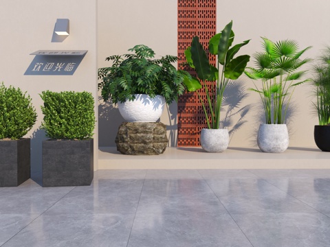 Modern Green Plant Potted Plant