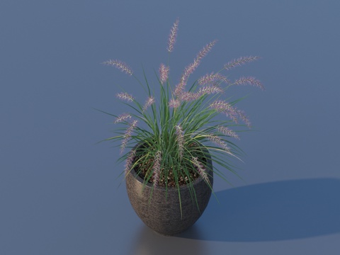 flowerpot potted plant green plant