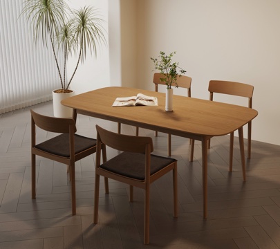 Modern Quiet Dining Table Chair