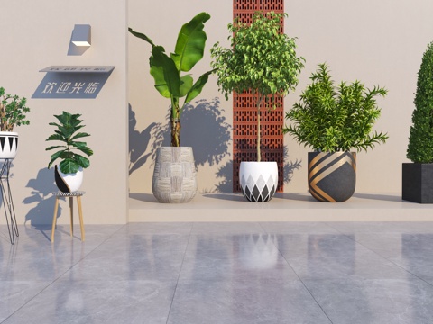 Modern Green Plant Potted Plant Combination