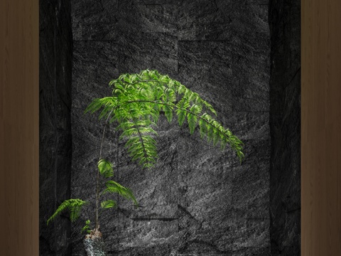 Indoor landscape landscape sketch indoor landscape fern landscape