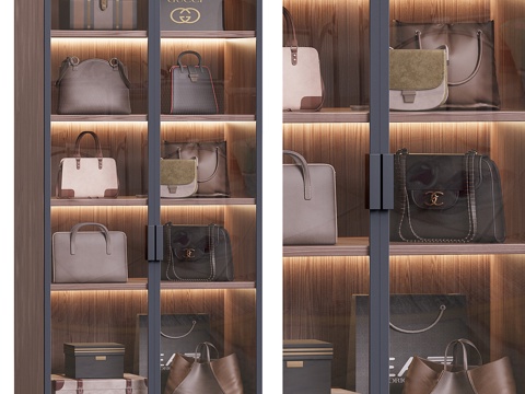 Modern Affordable Luxury Style Wardrobe Locker Bag Cabinet