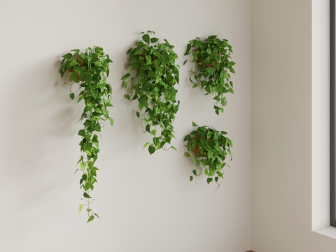 potted plants modern hanging basket potted plants