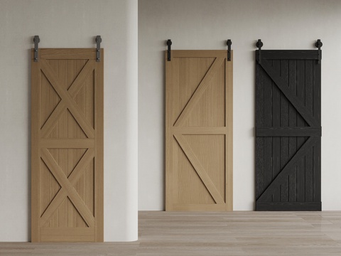 Modern Barn Door