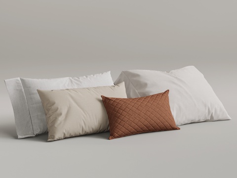 Modern pillow pillow combination