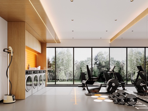 Modern Laundry Workout Room