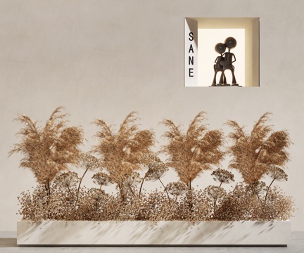 Plants Silent Reed Wheat Ear Flower Box Hay Combination Dried Flower Art