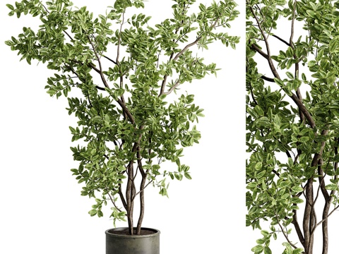 Neo-Chinese Style banyan tree branch potted plant