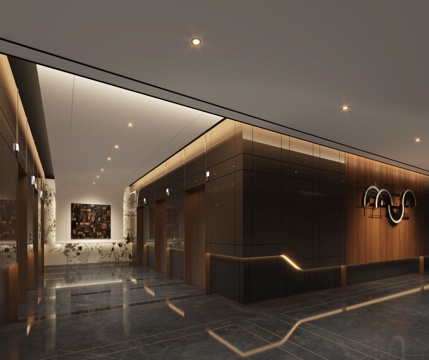 Modern Hotel Elevator Hall Hotel Elevator Club Elevator Hall Club Elevator Room Elevator Room