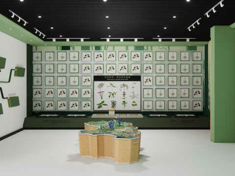 Modern specimen exhibition hall_plants_medicinal specimens_display cabinet