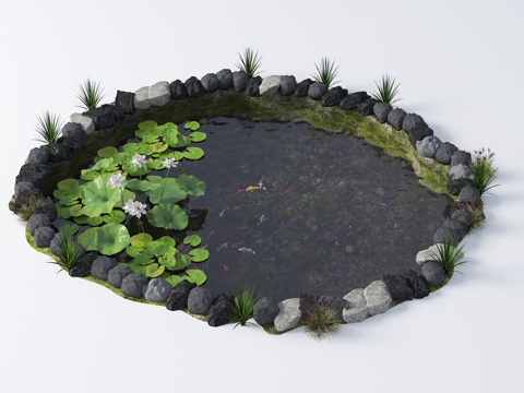 New Chinese Landscape Pool Lotus Pool View Carp Pool Native Fish Pond Waterscape Ecological Fish Pond Court