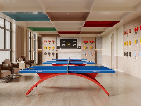 Modern table tennis room