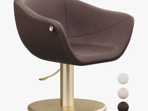 Modern Hairdressing Chair