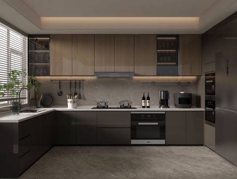 Modern home kitchen SU model