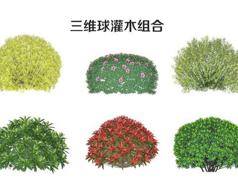 Modern Shrub Ball Shrub Plant Combination