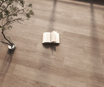 Modern Wood Flooring