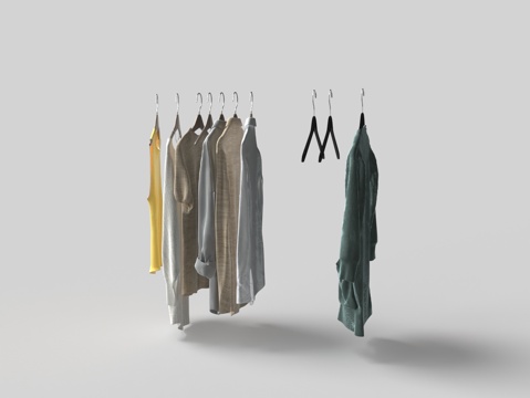 Modern Wardrobe Hanger Clothes