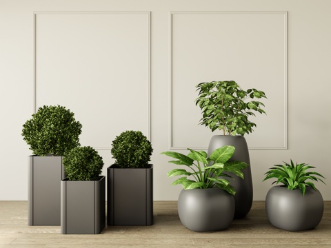 modern potted plant