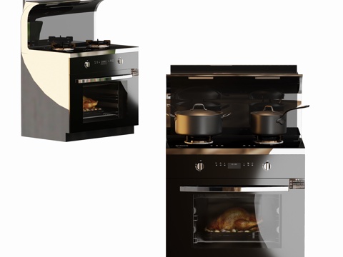 Modern Kitchen Appliances Integrated Stove