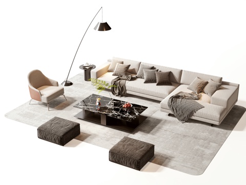 Modern sofa coffee table group