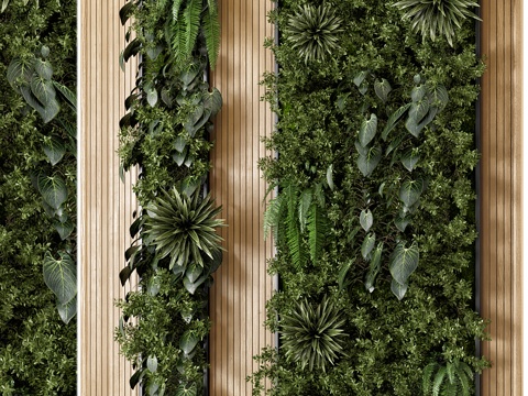 green plant wall