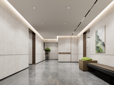 Elevator Hall Modern Home Lobby