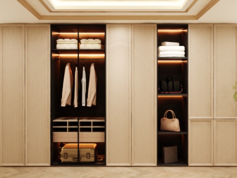 Wardrobe Design Wardrobe Effect Diagram Wardrobe Coat Cabinet Design Coat Cabinet