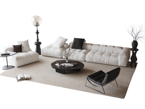 Modern sofa coffee table combination