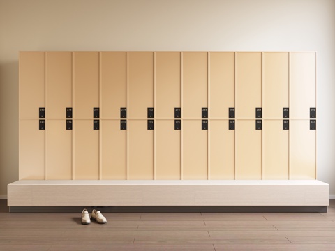 Public Space Locker Wardrobe Storage Cabinet Pier Cabinet Shoe Changing Cabinet Shoe Cabinet