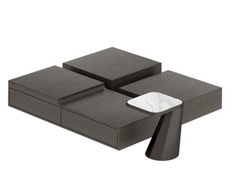 Modern coffee table combination