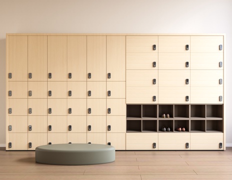 Public Space Locker Wardrobe Storage Cabinet Pier Cabinet Shoe Changing Cabinet Shoe Cabinet