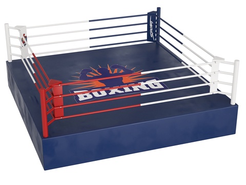 Boxing ring