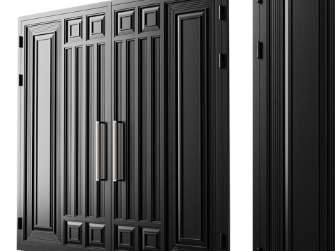 Modern Black Double Door Entry Door