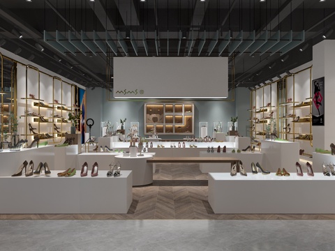 Modern Shoe Store Showroom