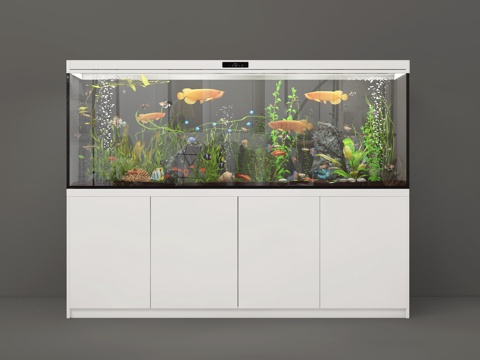 Fish tank