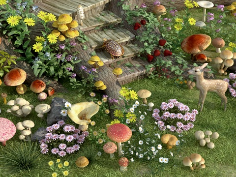 Mushroom Wild Mushroom Mushroom Mushroom Flowers Flowers Turtle Fawn Flowers Spectals