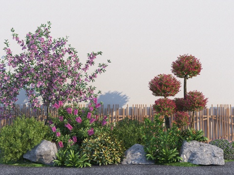 Modern landscape shrub plant combination