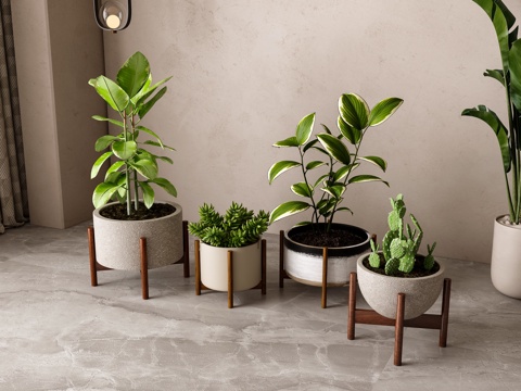 Modern Green Plant Potted Plant Combination