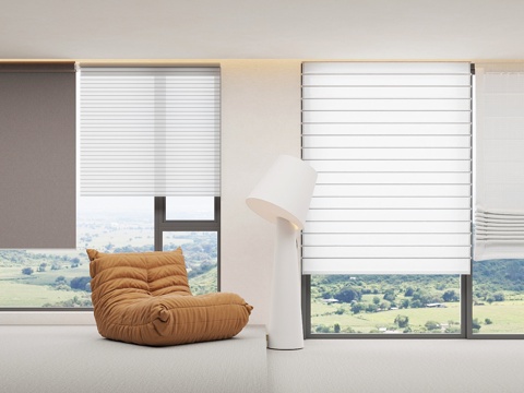 Modern roller blinds combination venetian blinds curtain