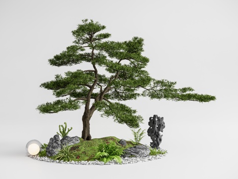 Neo-Chinese Style courtyard sketch Garden Landscape pine tree welcome pine old pile Luo Han pine landscape landscaping