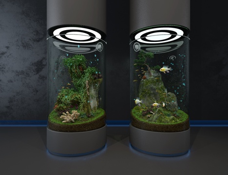 Ecological fish tank