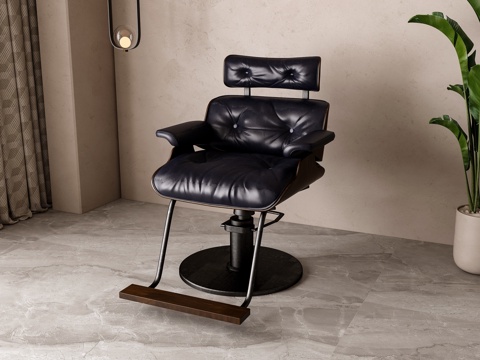 Modern Leather Barber Shop Chair