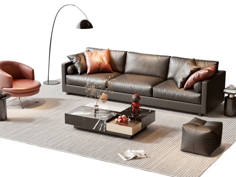 Modern sofa coffee table combination