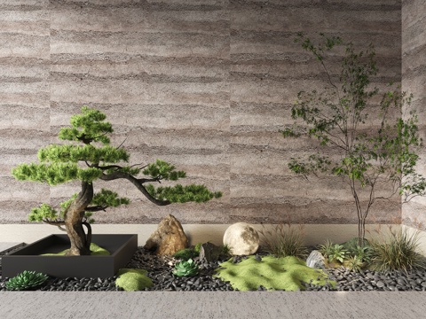 Modern courtyard small landscape plant pile welcome pine pebbles