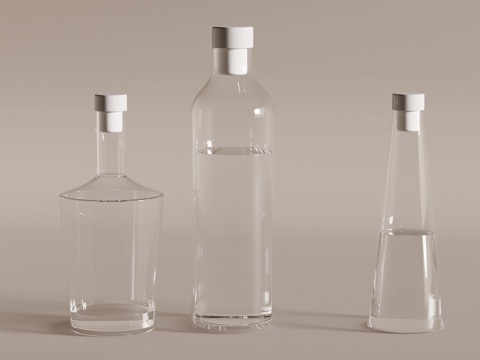 Modern Glass Water Bottle