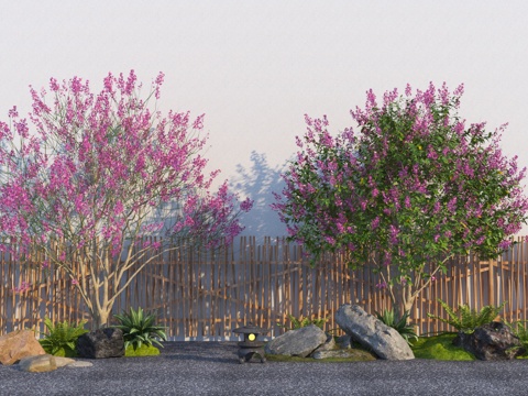 Modern Plant Flower Land Lagerstroemia Peach Tree Cherry Tree