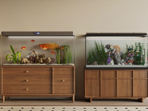 Modern fish tank