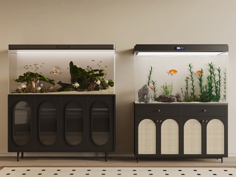 Modern fish tank