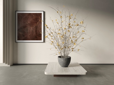 Modern Dried Flowers